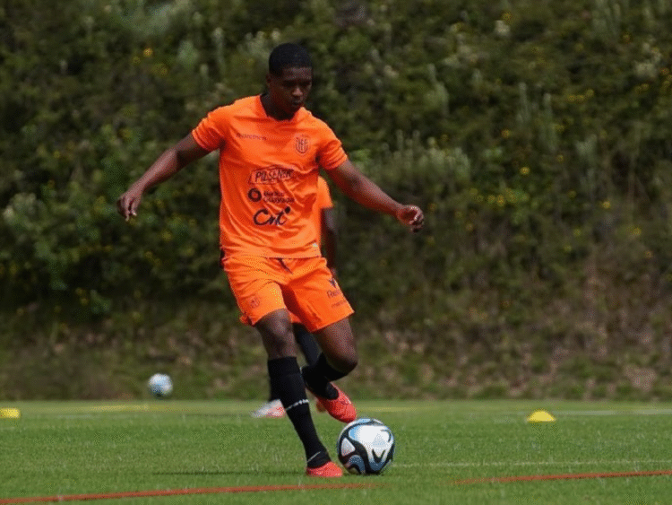 Davis Bautista evolución salarial